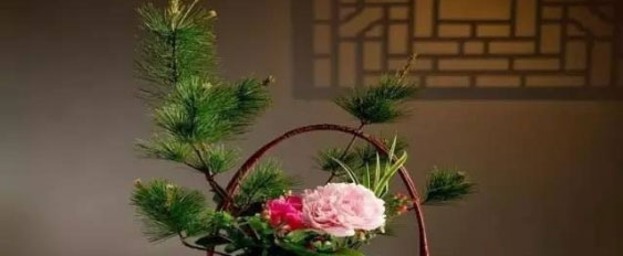 不同形式的插花艺术欣赏