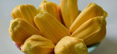 菠萝蜜怎么吃 菠萝蜜的核怎么吃