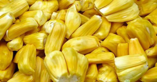 菠萝蜜怎么吃