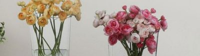 深水浸泡醒花 鲜花深水醒花泡一夜可以吗