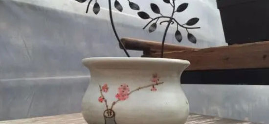花盆的种类