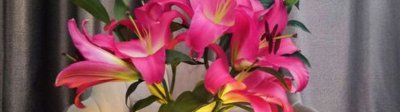 插瓶鲜花蔫了怎么救活 鲜花插瓶之后一天就枯萎了