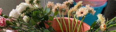 深水浸泡醒花 深水醒花可以放一夜吗