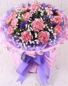 康乃馨花语和是什么意思 了解康乃馨的含义
