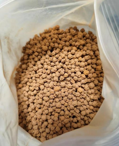 多肉植物用什么土养