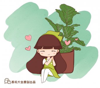 种什么植物可以驱蚊子 庭院驱蚊效果最好的植物推荐