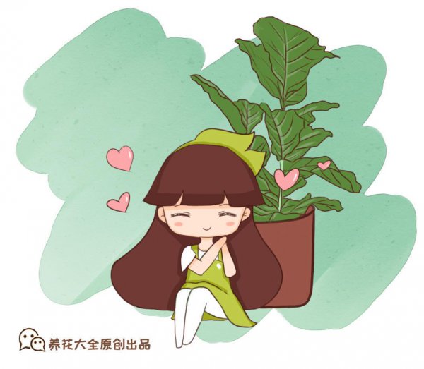 种什么植物可以驱蚊子
