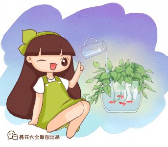 薄荷怎么养才能爆盆 盆栽薄荷养护的正确方法