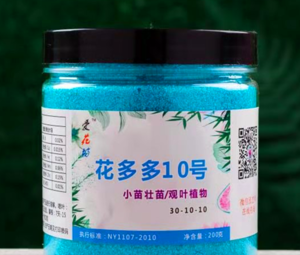 凤尾竹盆栽怎么养