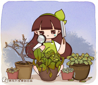 多肉植物好养吗 多肉植物的养护小窍门