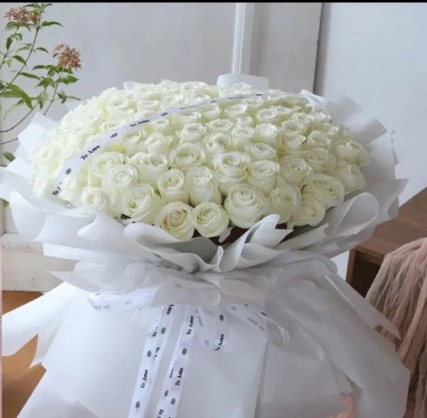 白玫瑰的花语是什么
