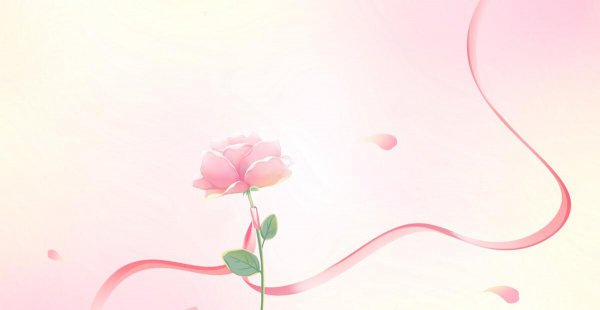 粉色玫瑰花代表什么意思