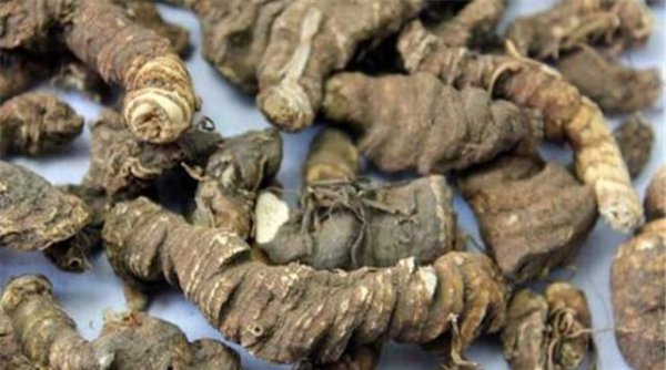 盆栽重楼的种植方法