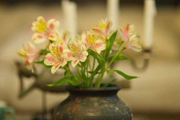 百合花代表什么意思