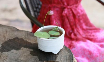 碗莲的种植方法和禁忌 盆栽碗莲的养护要点