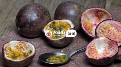 百香果有几种品种 常见的百香果种类介绍