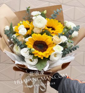 教师节送什么花才好 盘点六种适合送老师的花
