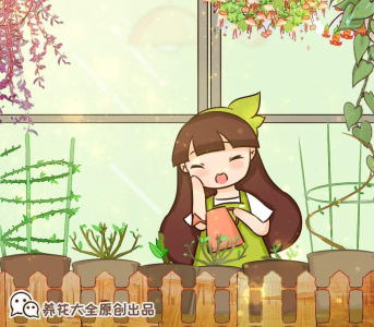 怎样才能把花养得更好 分享家庭养花小妙招