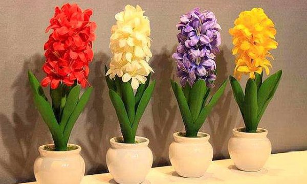 风信子的花期有多长