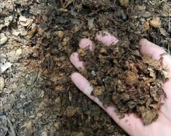 养花土配方是怎样的