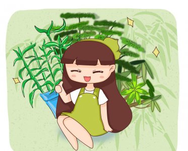 金叶女贞盆栽怎么养 详解金叶女贞的种植与养护