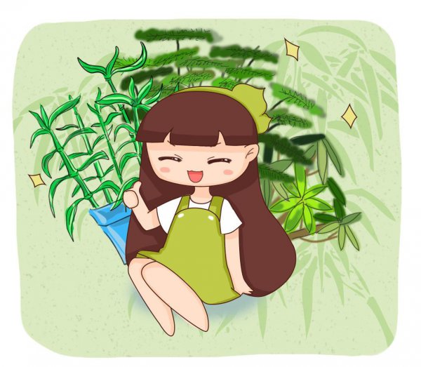 最矮的竹子是什么品种