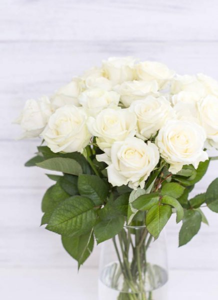 白玫瑰花代表什么意思