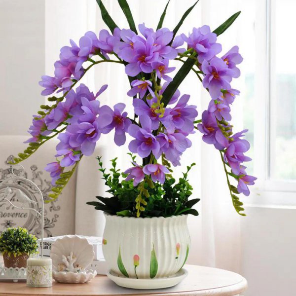 4月有什么花开放