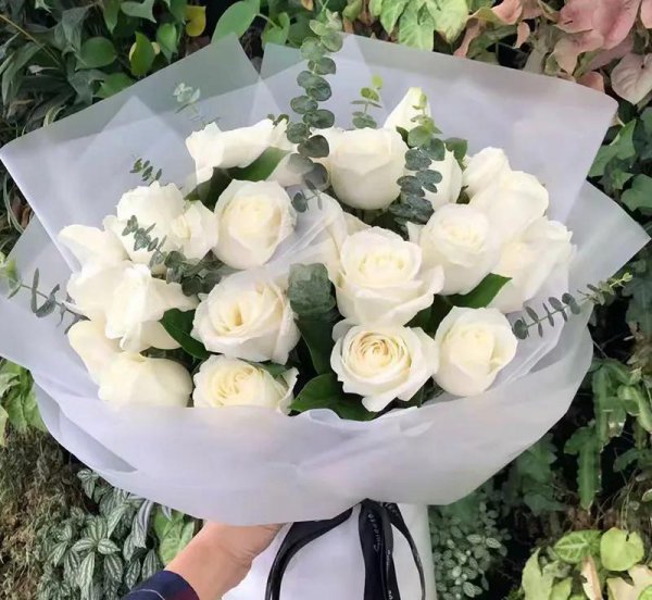送玫瑰花代表什么含义