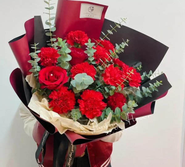 康乃馨花语是什么意思