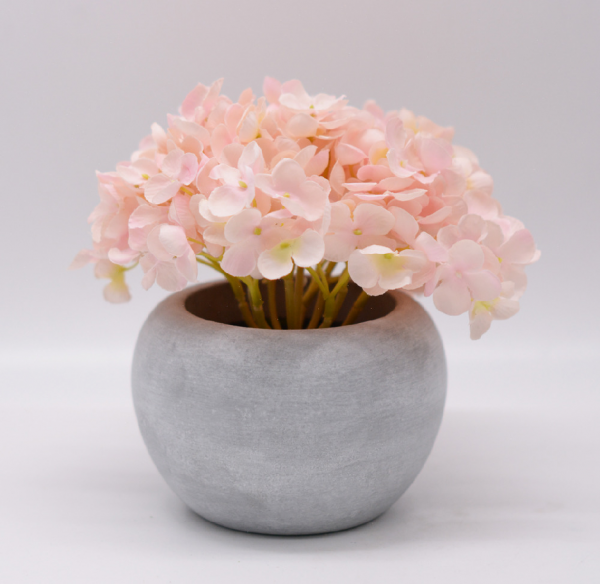 绣球花花语是什么意思