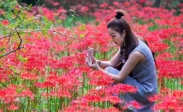 秋天盛开的花都有什么