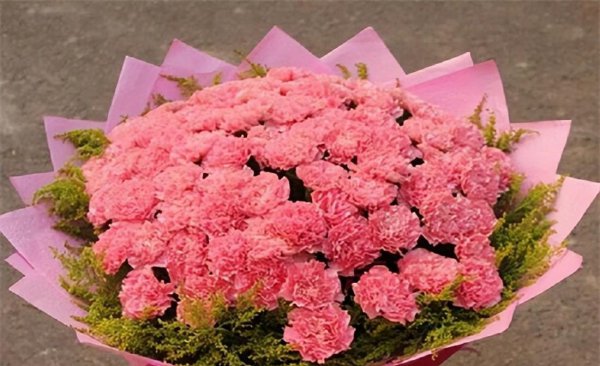 哪些花在夏天开