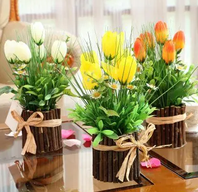 室外盆栽绿植什么最好养