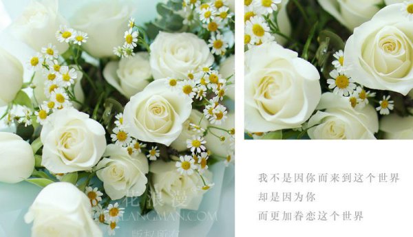 白玫瑰花象征什么