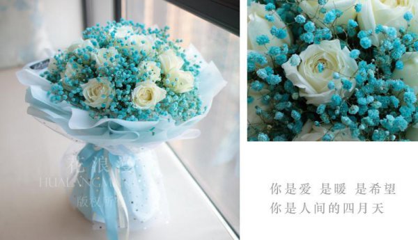 白玫瑰花象征什么