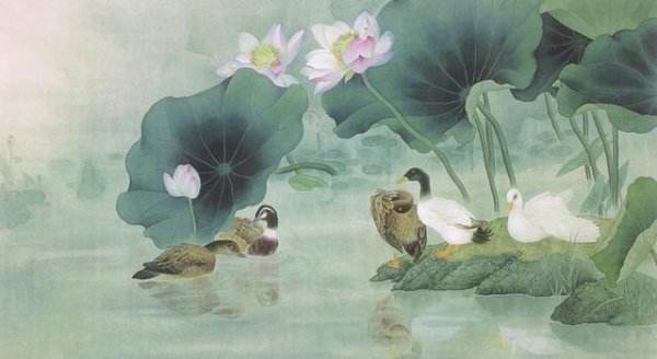 荷花代表什么象征意义