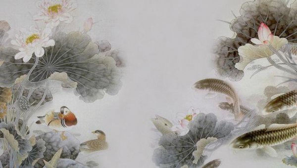 荷花代表什么象征意义