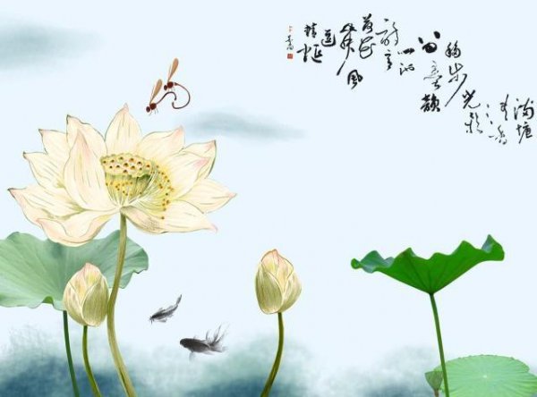 荷花代表什么象征意义