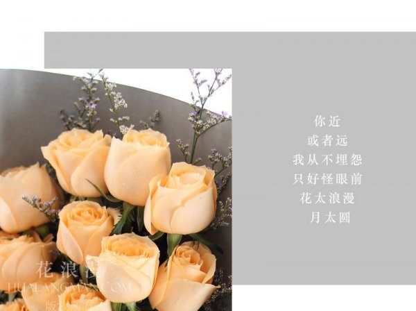 香槟玫瑰适合送什么人