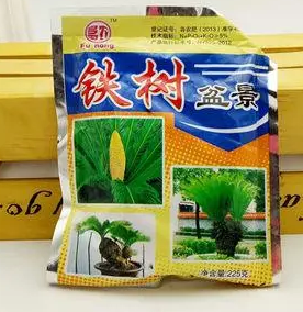铁树怎么养枝叶更茂盛