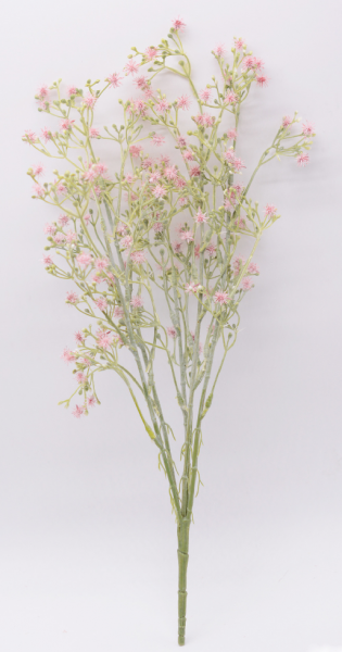 蒲公英的花语是什么