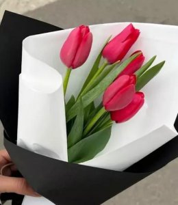 郁金香花语及寓意图片 描述郁金香的真实含义
