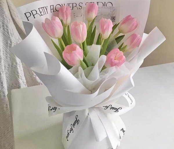 郁金香花语及寓意图片