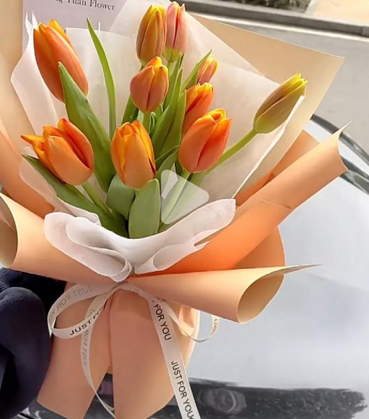郁金香花语及寓意图片