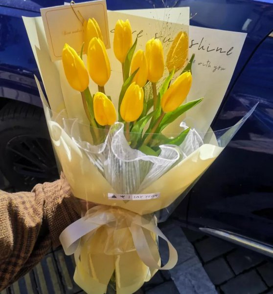 郁金香花语及寓意图片