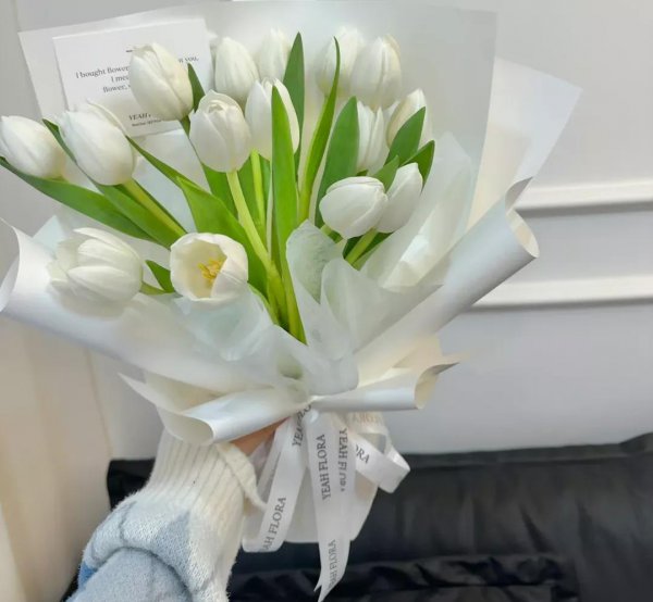 郁金香花语及寓意图片