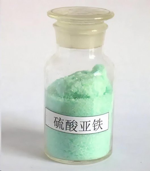 杜鹃花怎么护养