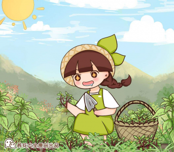 碰碰香怎样养茂盛 分享养碰碰香的小窍门