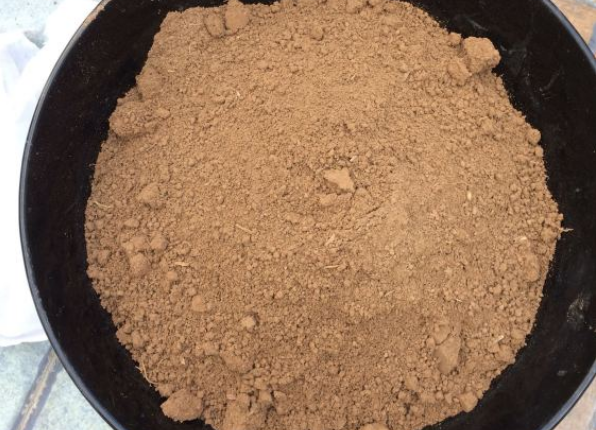 碗莲的种植方法
